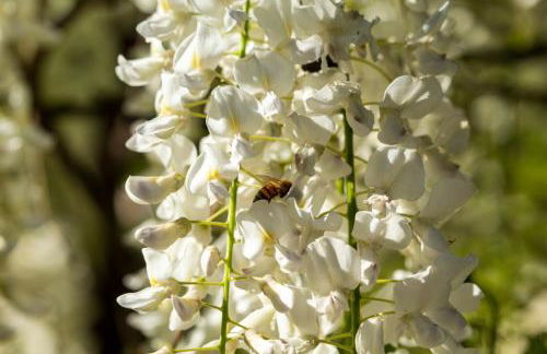 Alba Morus - Photo 45