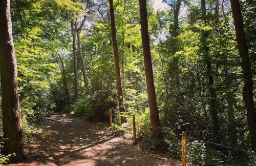 Au coin du loup, monts de Flandres, Zwarteberg - Foto 32