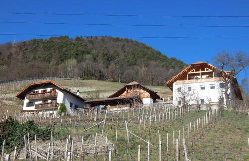 Pignathof Castanea - Foto 9