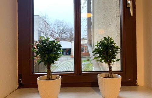 Hinterhaus Apartment No4 - Photo 9