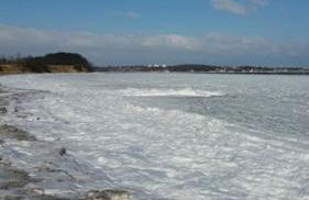 Ferienwohnung mit Ostseeblick & Strandlage - Foto 15