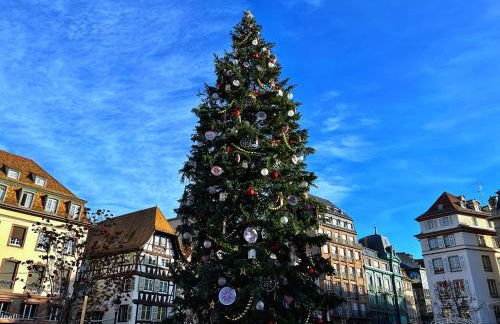 Appartement avec balcon à Strasbourg Robertsau - Foto 24