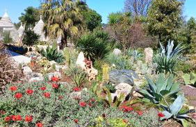 Trullo Bosco Libero Ostuni - Foto 26