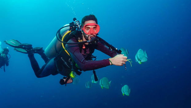 Nelle acque di Koh Tao