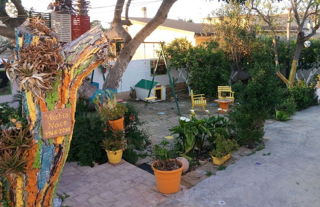 Zagara di Sicilia - Foto 75