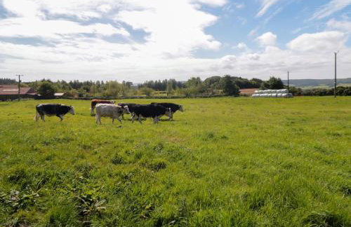 Heron Nest - Foto 22