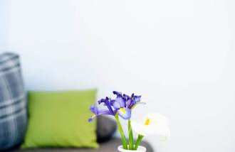 Apartman NONO - Foto 11