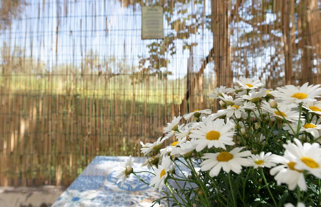 Il Fico nel Pozzo in Fossacesia - Foto 2