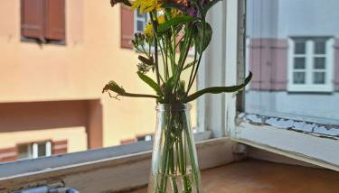 Dinkelsbühler Altstadthäuschen - Foto 4