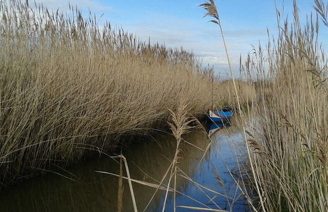 Be & See in Nature - Foto 12