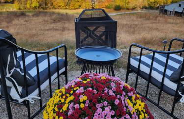 Chasing Views Tiny House - Photo 24