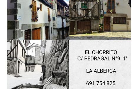 EL CHORRITO - Foto 8