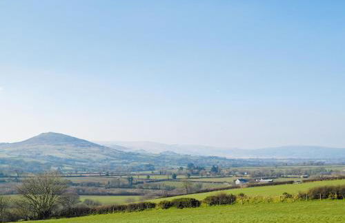 Ivy Bush Cottage - Photo 25