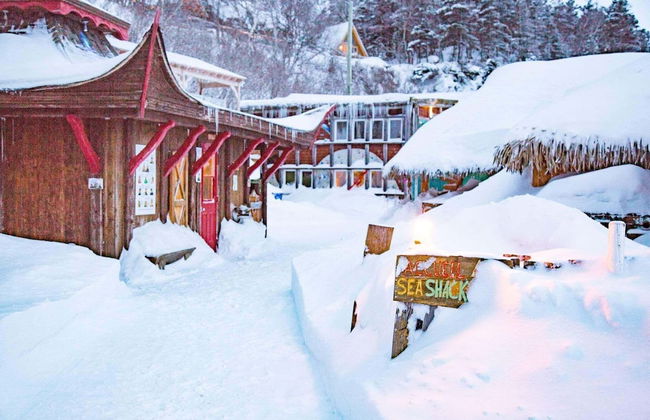 Le Ski Shack - Foto 35