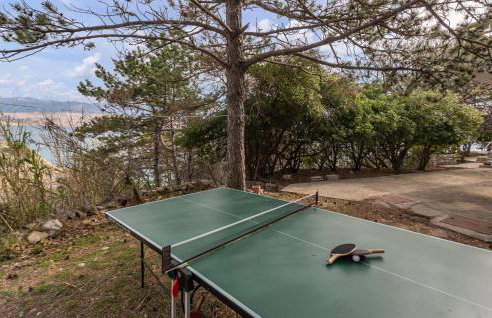 Nice Apartment In Novalja With Kitchen - Photo 6