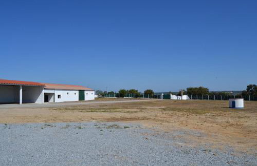 Fazenda do Medronhal - Photo 38