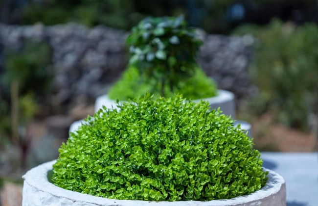 Villa Akulica With Heated Outdoor Pool and Seaview - Photo 55