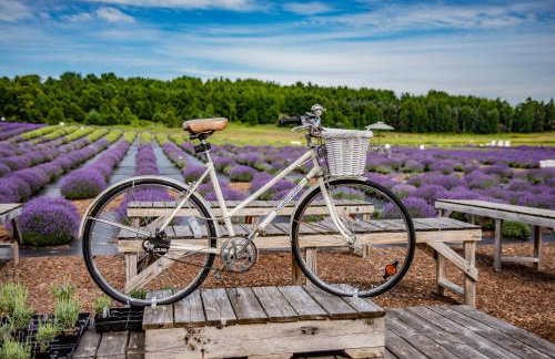 Beautiful 2BDR Loft Suite at Golf Course Condo 5549 - Foto 100