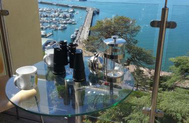Panoramic sea views, sleeps 4, Torquay - Foto 1