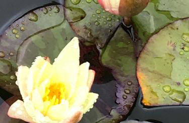 Haciendas del Valle - Casa San Miguel - Foto 17