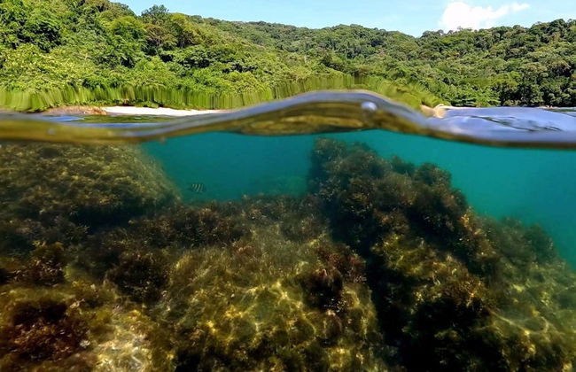 Ubatuba Southern Beaches Boat Tour - Photo 7