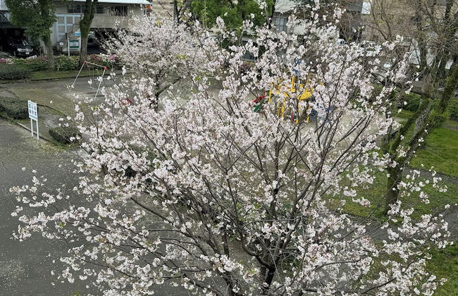 HOTEL NINESTATES KAGOSHIMA - Foto 24