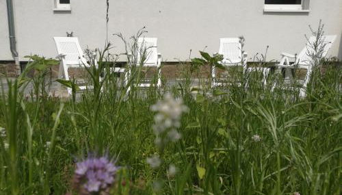 4-Zimmer Haus in Leipzig - Foto 3, Garden view