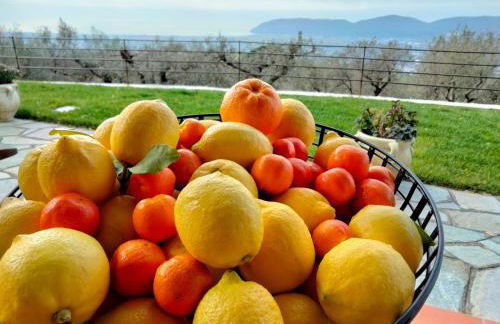 A CASA DI OLIVO - Foto 40