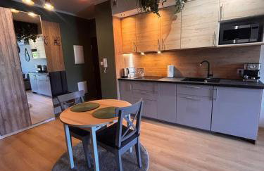 Oliwkowy - stylowy Apartament w naturalnym klimacie - Photo 38