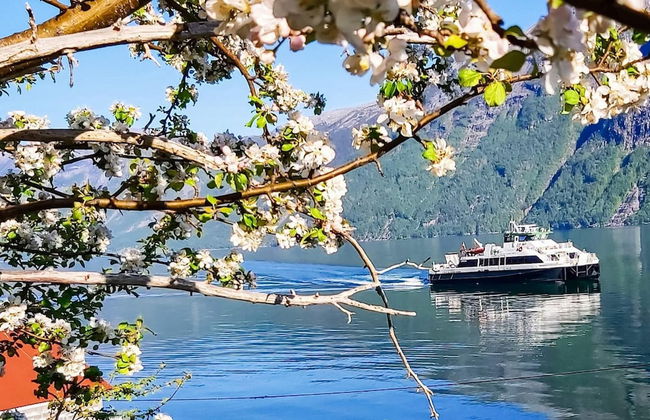 13 Person Holiday Home in Songesand - Photo 9