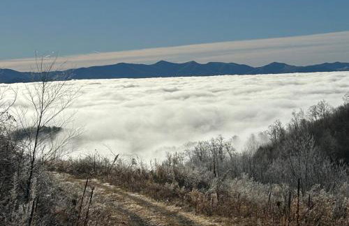 Appalachian Hideaway - Foto 66