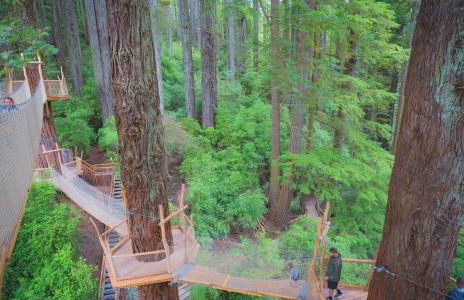 Surfside Beach House near Ancient Redwoods - Foto 31