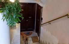 The Golden Pyramid - Photo 54