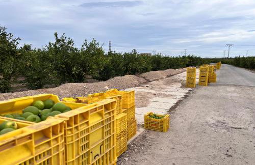Punta Prima - Charming Spanish Apartment with South-Facing Terrace by the Sea - Foto 55