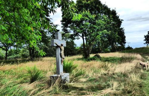 Relaxen am Eifelbach - Foto 13