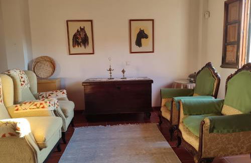 El Cortijuelo de Zalea - Foto 20