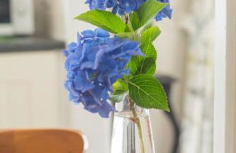 Pant-Y-Celyn Studio Apartment - Photo 8