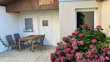 Alte Schmiede Sagard - Foto 3