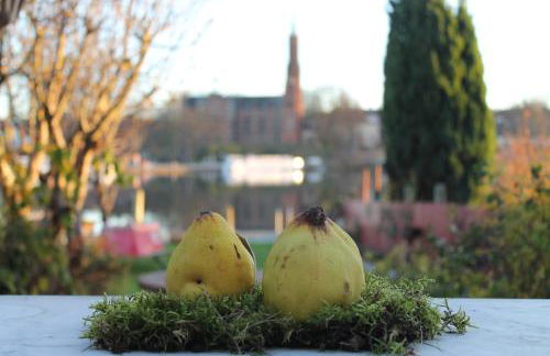 FeWo Direkt Am See - Malchow - Foto 5
