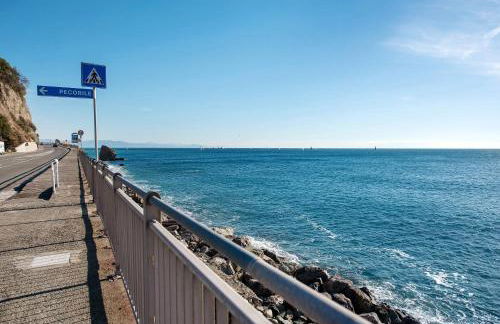 Tramontana - Foto 18