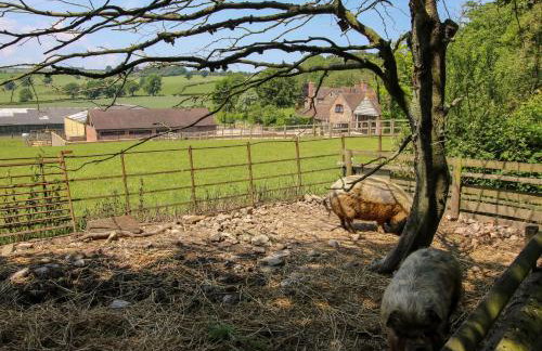 Upper Home Farm - Foto 79