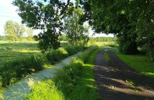 Mooroase Bauerngarten - Ovelgönne - Nordsee - Weser - Jade - Foto 18
