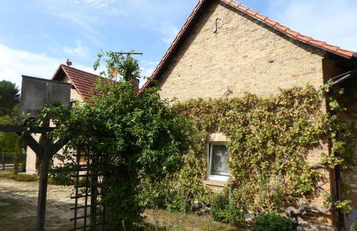 Ferienhof Rätzsee - Foto 6