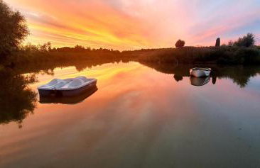 Willa Skrzatusz - Foto 47