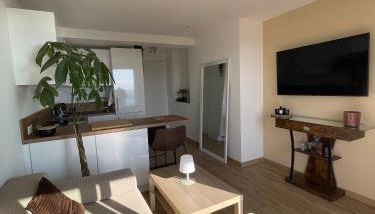 2 pièces, vue mer panoramique - Photo 4