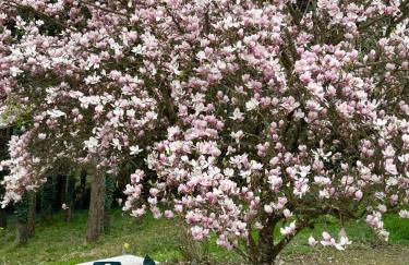 Chez Alexandrine Havre de paix romantique & bucolique Sous les étoiles exactement et proche des châteaux de la Loire et du Parc de Beauval - Foto 5