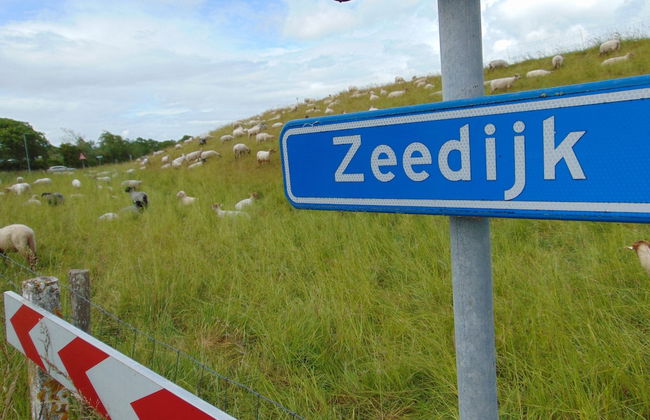 Quaint Holiday Home in Nieuwvliet-Bad near Sea Beach - Foto 39