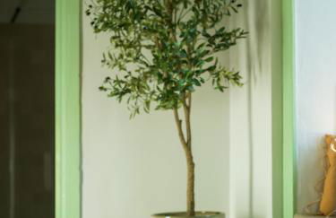 Suite Olivos - Foto 71