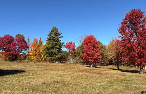 My Valhalla Farm - Foto 24