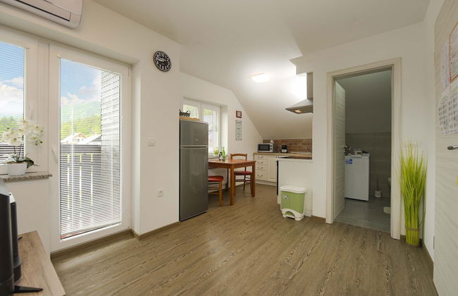 Apartments Rikli Rodine near Bled - Foto 63